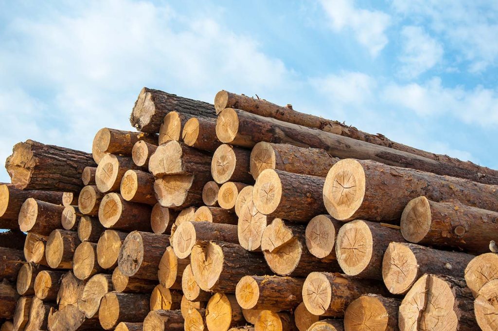 Timber Construction image shows a pile of fresh cut logs